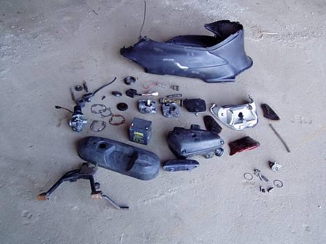 Siamoto birdie Solgt billede 2