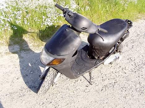 Siamoto birdie Solgt billede 3