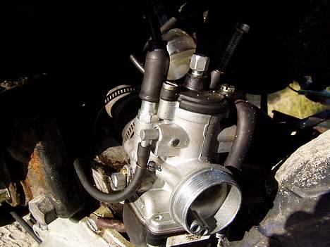 Siamoto birdie Solgt billede 4