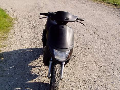 Siamoto birdie Solgt billede 5