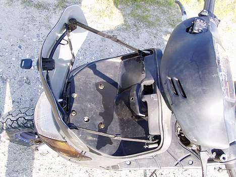 Siamoto birdie Solgt billede 6