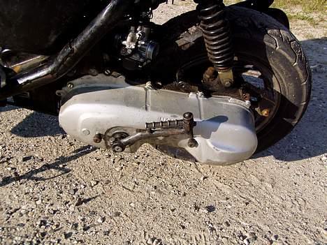 Siamoto birdie Solgt billede 7