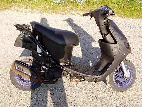 Siamoto birdie Solgt billede 8