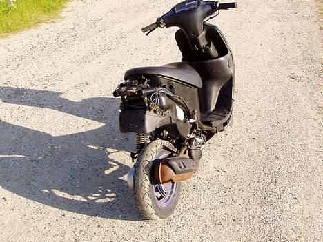 Siamoto birdie Solgt billede 9