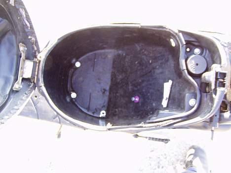 Siamoto birdie Solgt billede 10