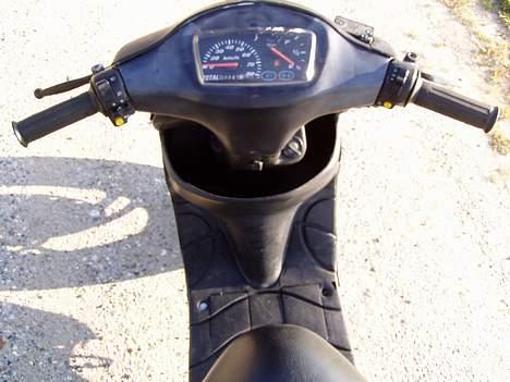 Siamoto birdie Solgt billede 11