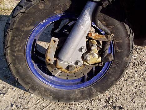 Siamoto birdie Solgt billede 12