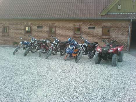 Derbi senda SM50.  SOLGT. - Det er banden jeg holder i midten. billede 9