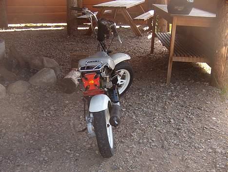 Suzuki fz 50 PROJEKT FÆRDIG) billede 5