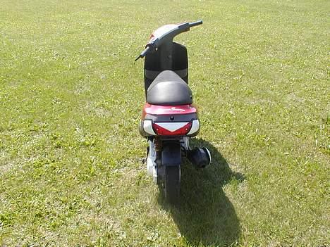 Piaggio Zip - Solgt - - Røven er sku okay billede 5
