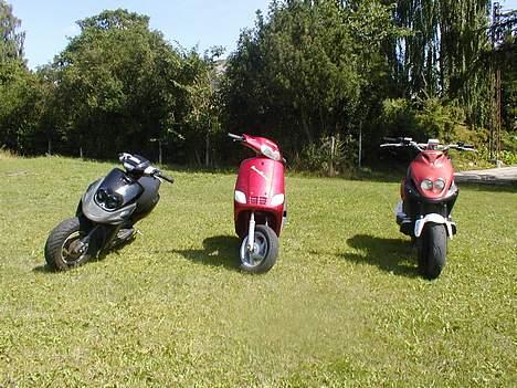 Piaggio Zip - Solgt - - En vens, BWS, Min Zip, En anden Vens NAked, Begge 2, Tak for hjælpen for at få Zippen ud at køre! billede 11