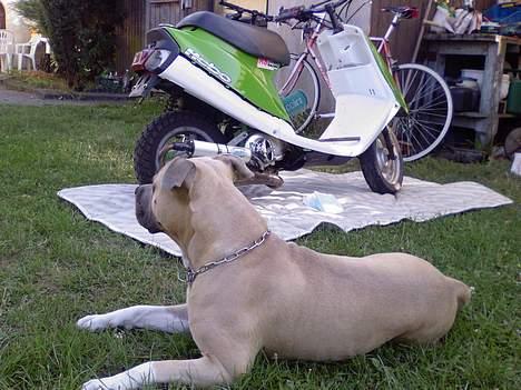 Yamaha Jog Solgt . billede 1