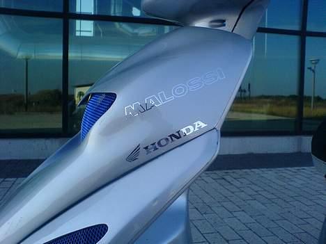 Honda SFX billede 15