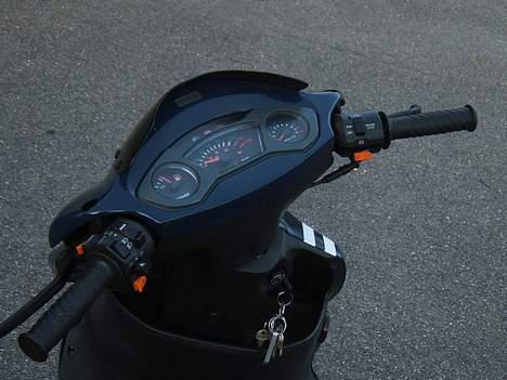 PGO Dr. Big  -- Solgt billede 6