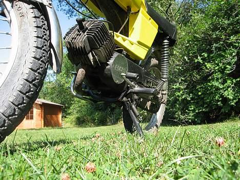 Puch Monza billede 10