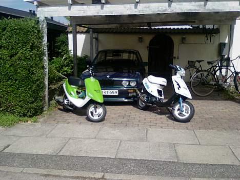 Yamaha "Falen Angel" Jog . - Mig og en a mine Sprøde venners Jog . billede 7