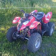 MiniBike Atv predator Solgt