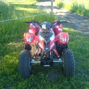 MiniBike Atv predator Solgt