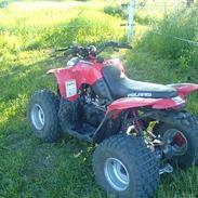 MiniBike Atv predator Solgt