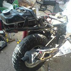 PGO Hot 50 (>Everload<)