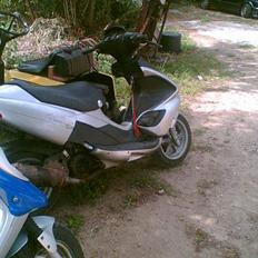 Benelli 491 GT *SOLGT*