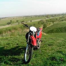 Suzuki RMX "SOLGT!