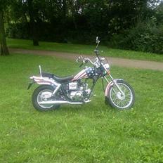 Regal raptor 30 SOLGT