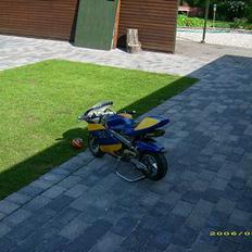 MiniBike pocket bike  - tilsalg-