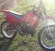 Suzuki RMX "SOLGT!