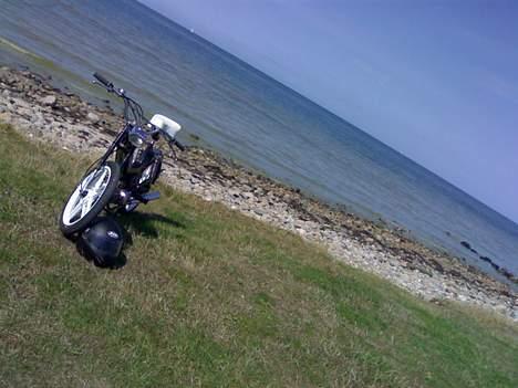 Puch Maxi kl SOLGT I DELE billede 13