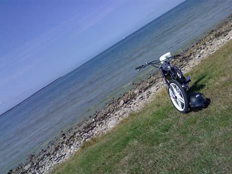 Puch Maxi kl SOLGT I DELE billede 14