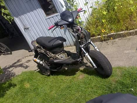 CPI Husasar -solgt- - så er de fleste skjolde vist pittet af.. hun ser lidt nøgen ud.. billede 11