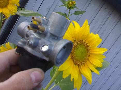 CPI Husasar -solgt- - 17,5 mm billede 12