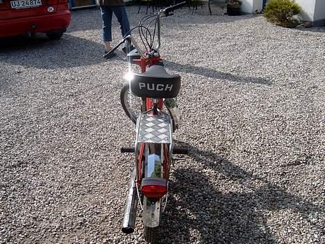 Puch maxi k / procket**SOLGT** - efter procekt billede 7