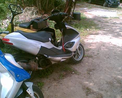 Benelli 491 GT *SOLGT* billede 2