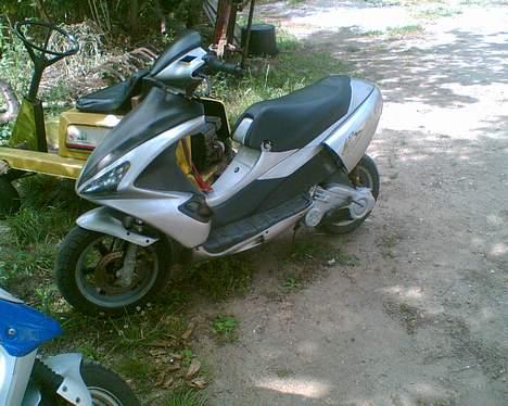 Benelli 491 GT *SOLGT* billede 3