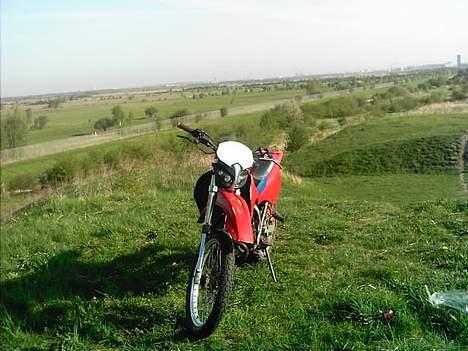 Suzuki RMX "SOLGT! billede 2