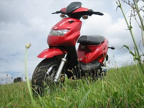 CPI Popcorn billede 4