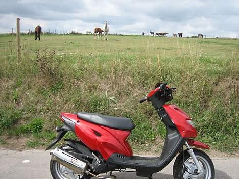 CPI Popcorn billede 10