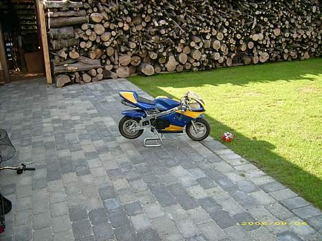 MiniBike pocket bike  - tilsalg- billede 1