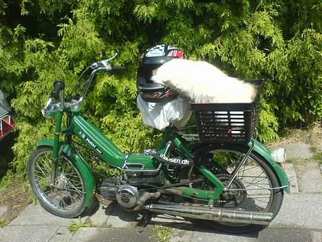 Puch Maxi - Fjern dig fra pappas kværn, eller du får tæsk :P billede 3