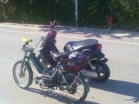 Puch Maxi billede 17