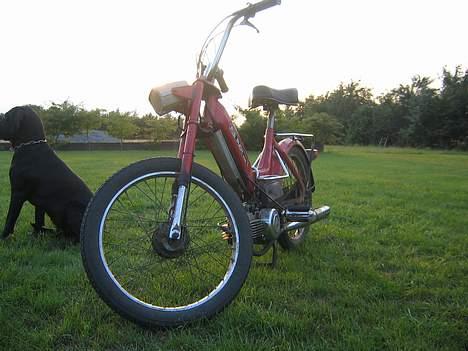 Puch maxi p (solgt) billede 1