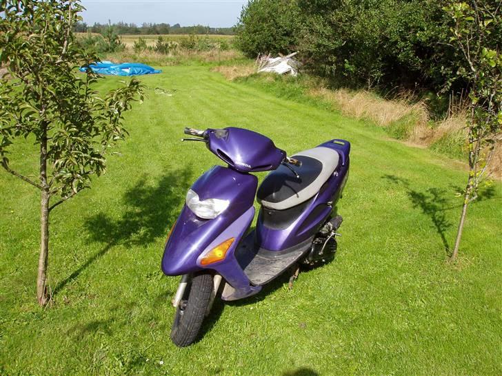 Honda SFX (BYTTET) - Nice i solskinnet :D billede 1