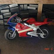 MiniBike daytona