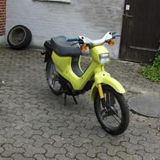 Honda Wallaroo (Byttet) 