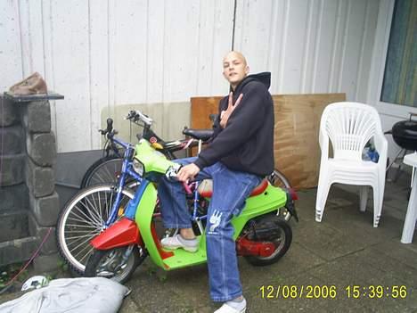 Honda melody  billede 12