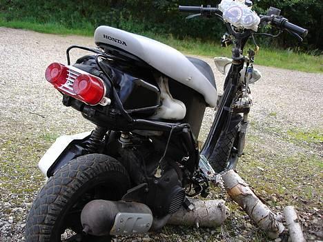 Honda SFX //BYTTET// billede 11