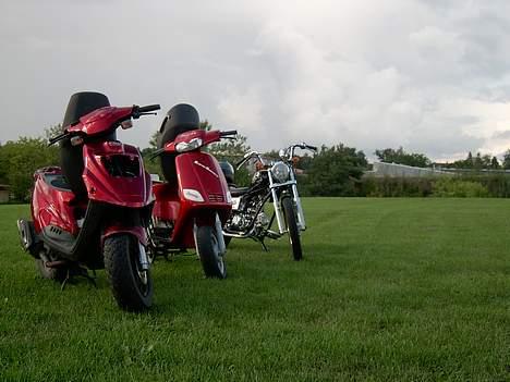 Piaggio Zip - Solgt - - Sygt flot billede, Tak for NBC for det dejlige landskab. Pics af: Bjoey (Regal Raptor i baggrunden er hans) billede 17