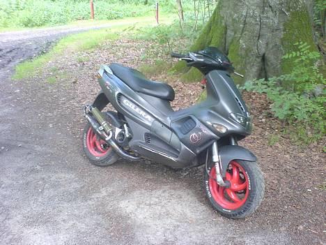 Gilera runner/8,86hk - Nede i Nørreskoven billede 2